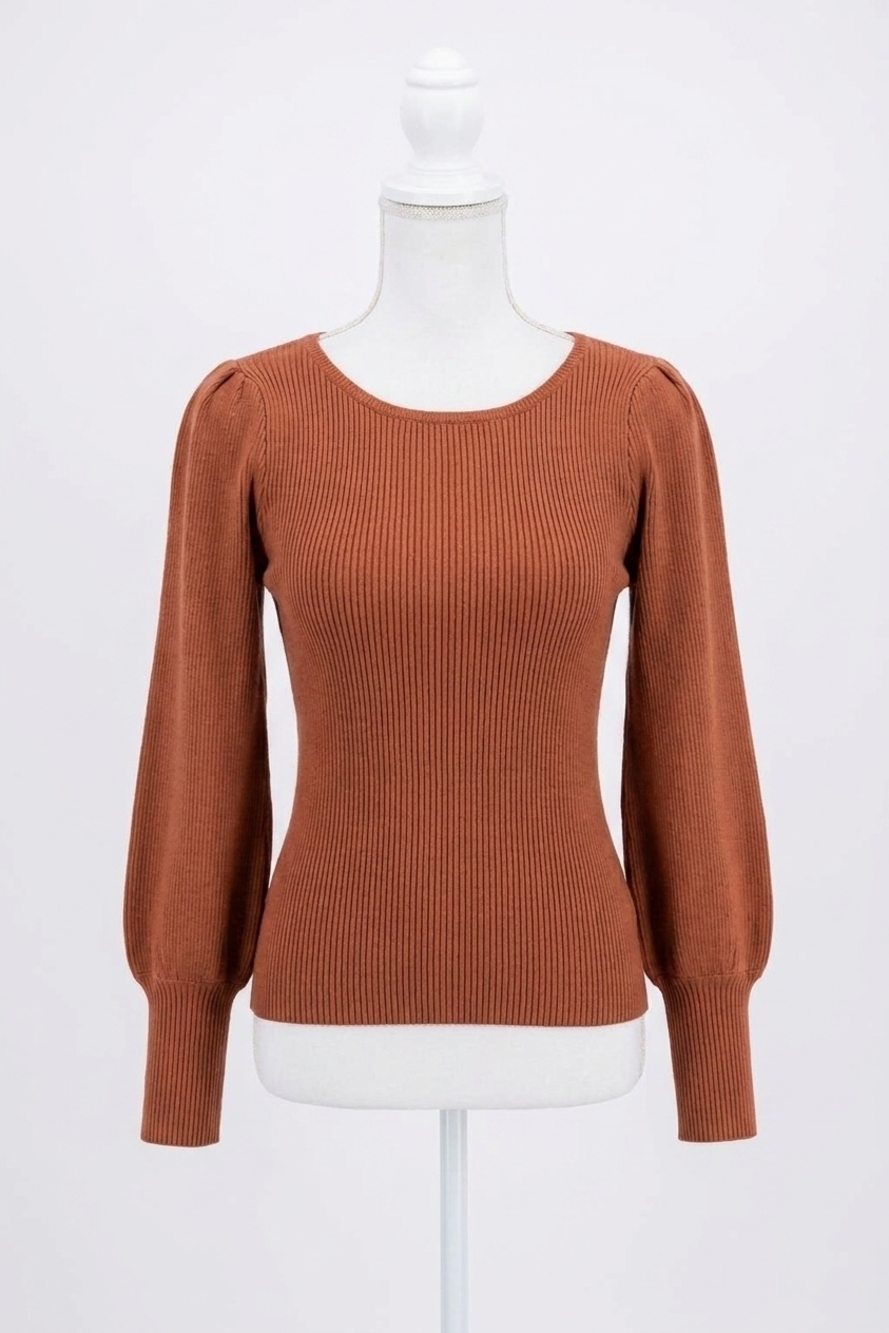 NEW AND THE WHY kensi ribbed bodysuit in brown